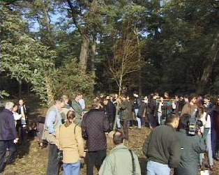 Millennium tree planting