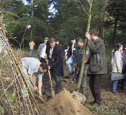 Millennium tree planting